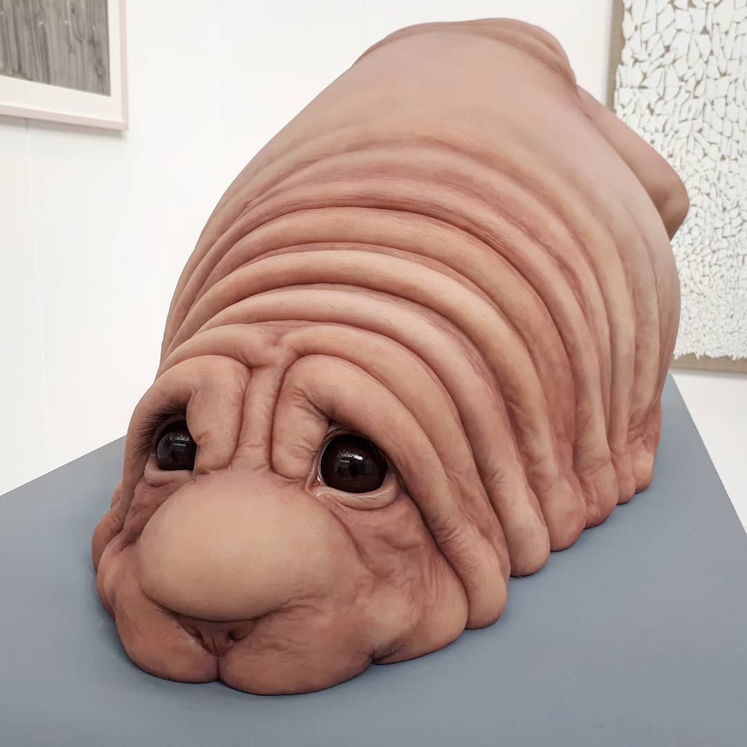 Ждун 2.0