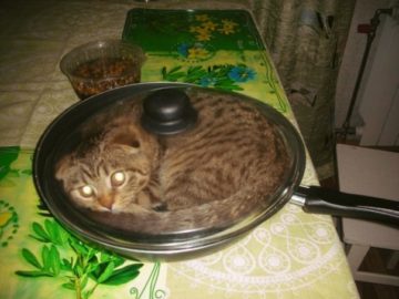 Поместюсь - усядусь