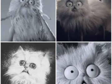 Страшный кот