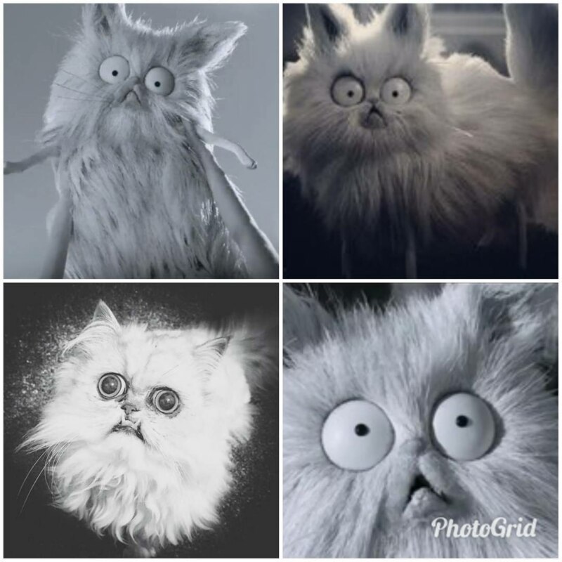 Страшный кот