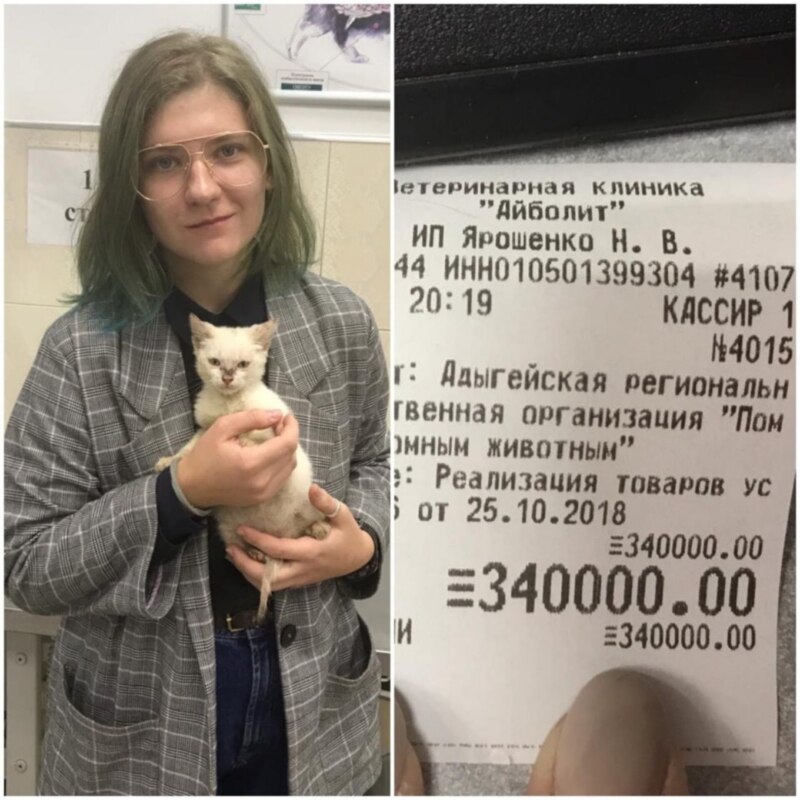 340 тысяч приюту для животных 340 тысяч приюту для животных