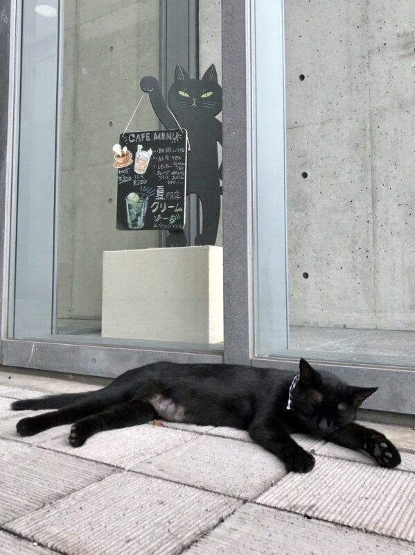 Коты в музее Коты в музее