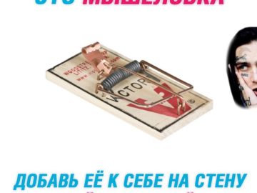 Face - крыса