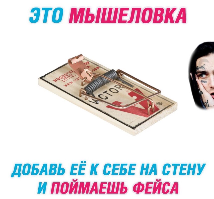 Face - крыса