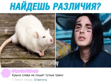 Фэйс - крыса