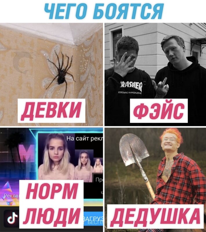 Фэйс - крыса