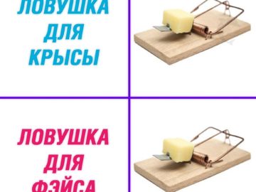 Фэйс - крыса