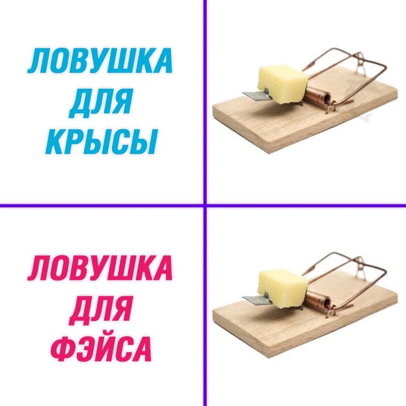 Фэйс - крыса