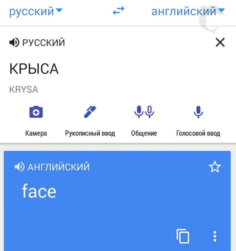 Face - крыса