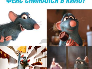 Face - крыса