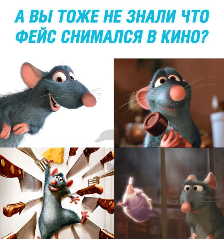 Face - крыса