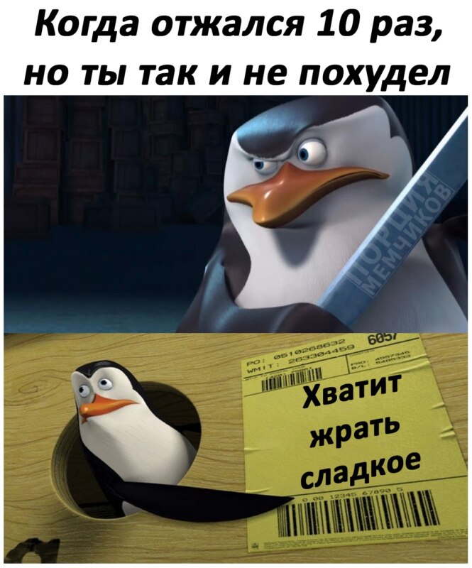 Ковальски показывает