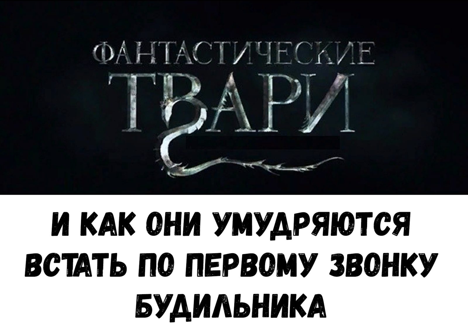 Фантастические твари