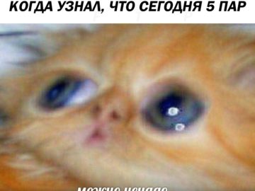 Можно ненадо...