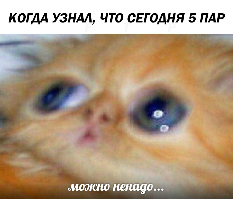 Можно ненадо...