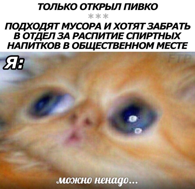 Можно ненадо...
