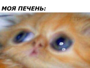 Можно ненадо...