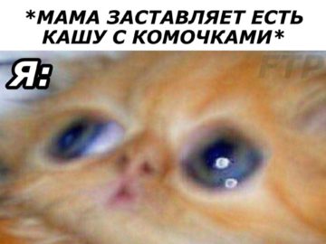 Можно ненадо...