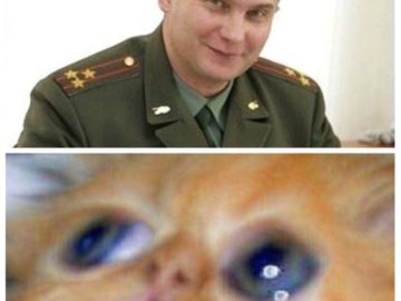 Можно ненадо...