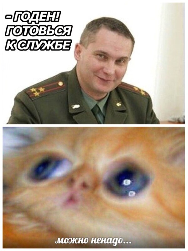 Можно ненадо...