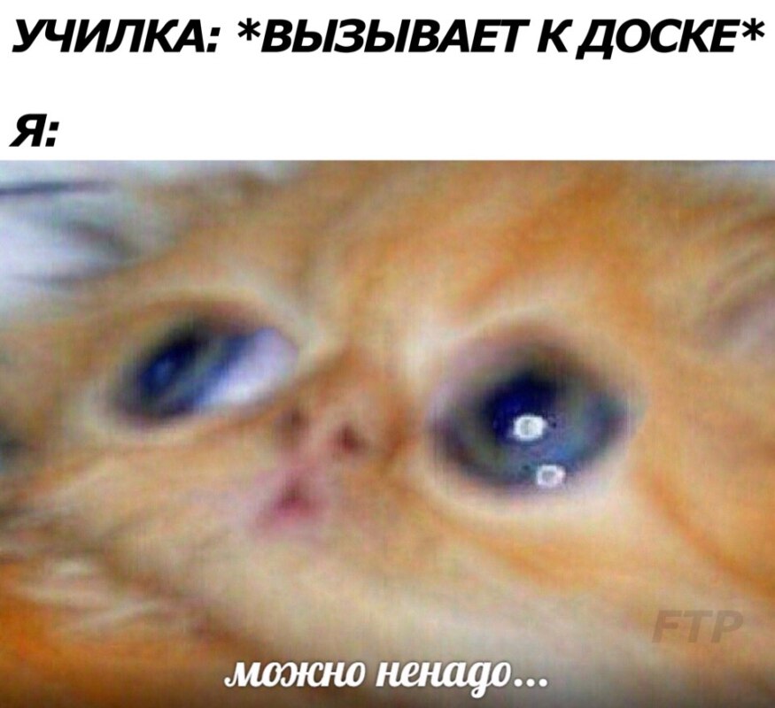 Можно ненадо...