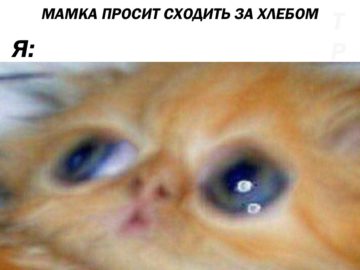 Можно ненадо...