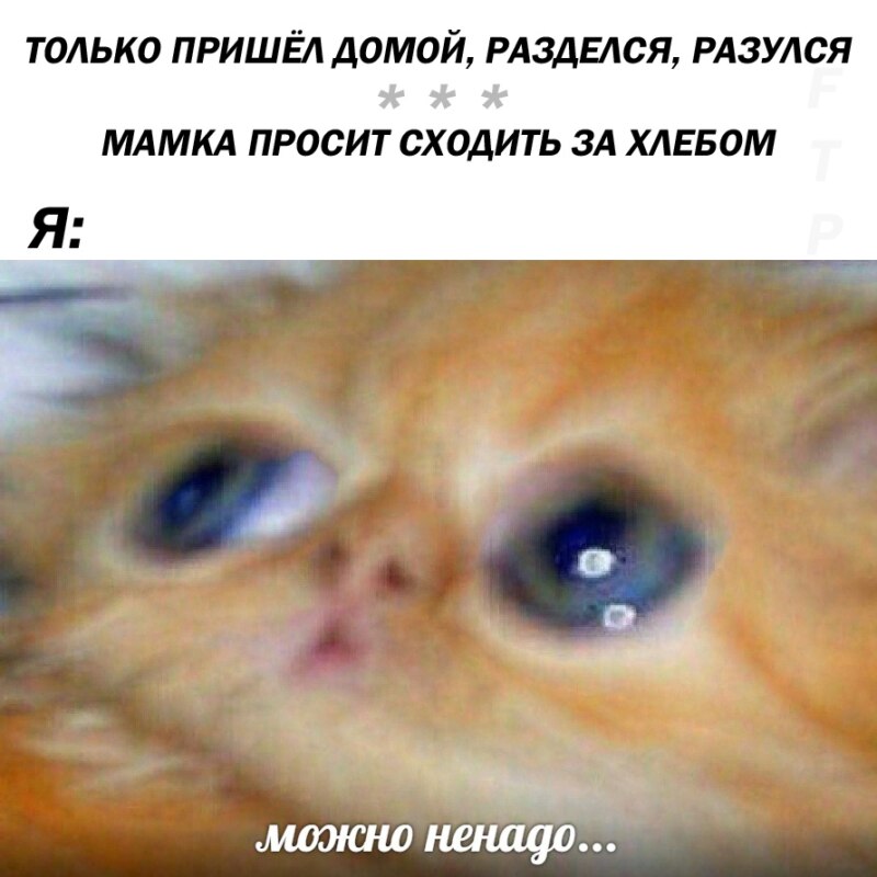 Можно ненадо...