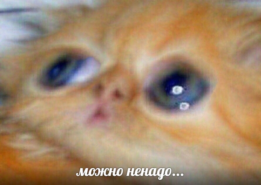 можно ненадо шаблон можно ненадо шаблон