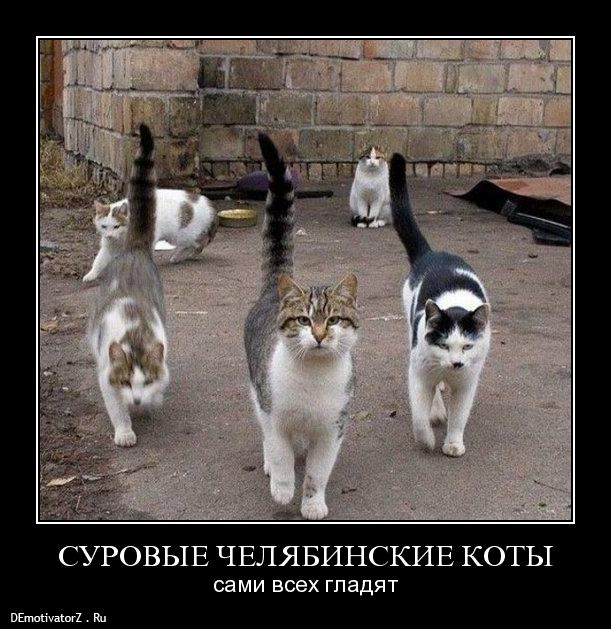 Суровый Челябинск