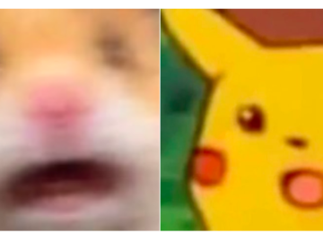 Испуганный хомяк