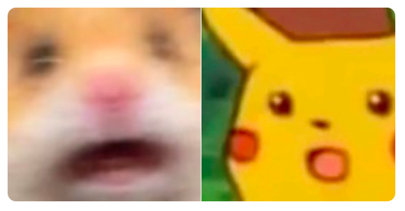 Испуганный хомяк