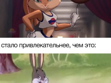 Мем с толстым кроликом