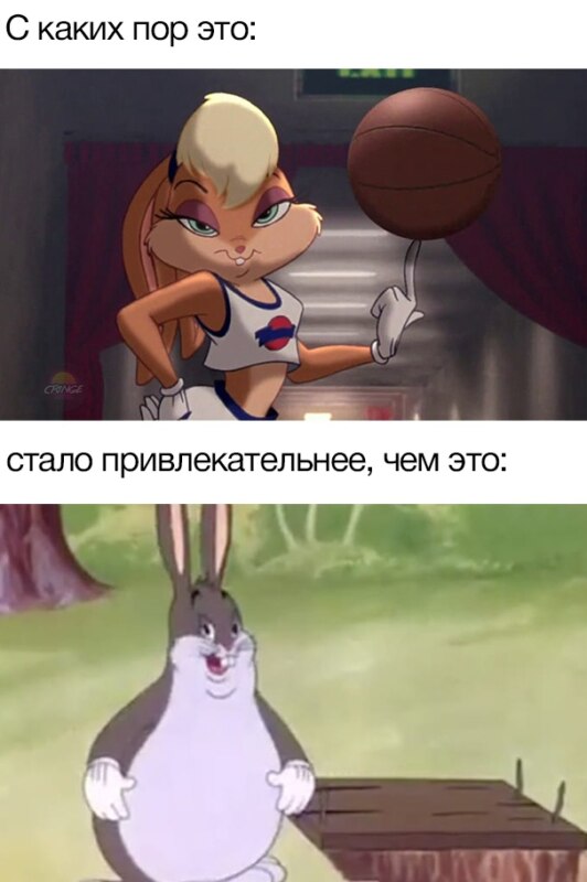 Мем с толстым кроликом