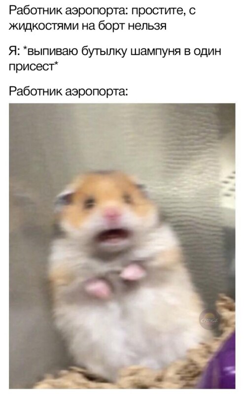 Испуганный хомяк