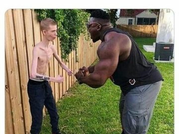 Daddy long neck meme