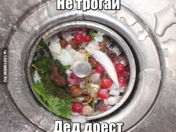 Дед доест