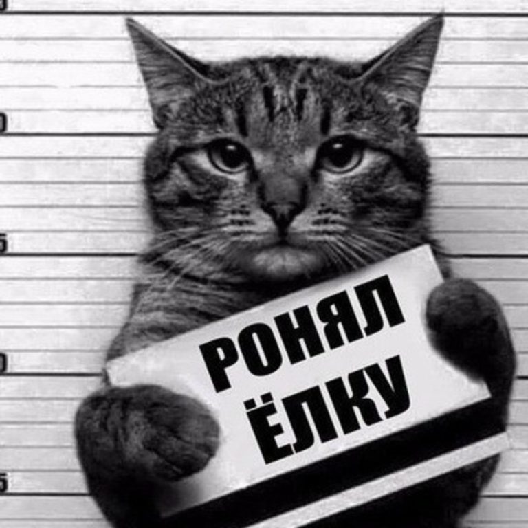 Коты роняют елки