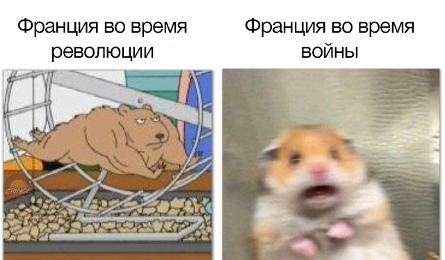 Испуганный хомяк