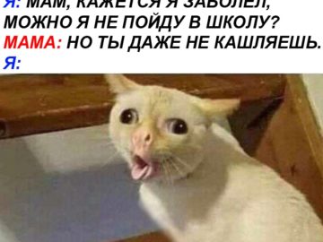 Кашляющий кот