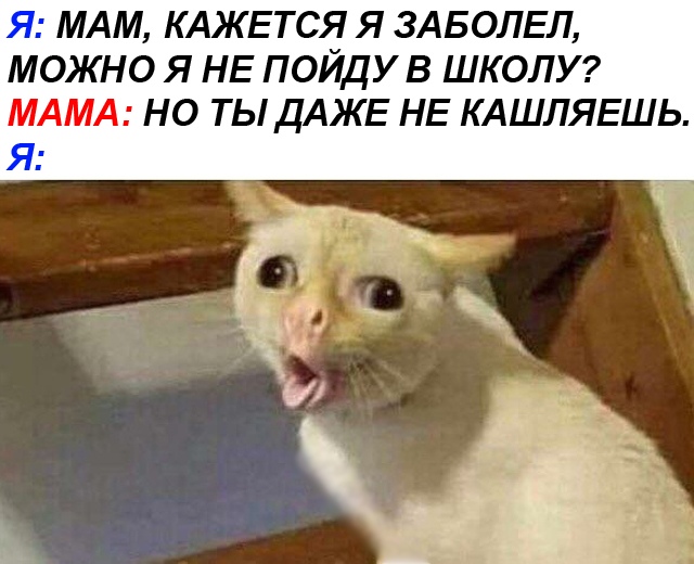 Кашляющий кот