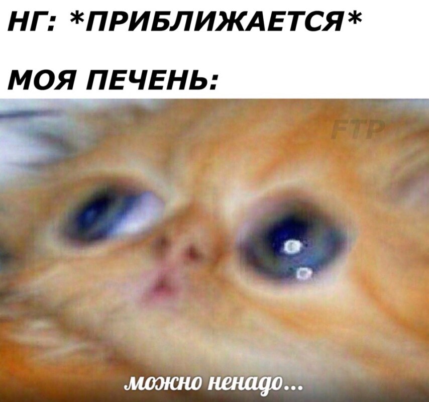 Главные мемы ноября 2018