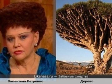 Валентина Петренко и ее прическа
