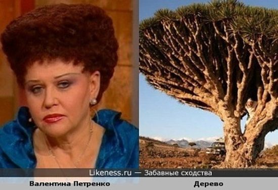 Валентина Петренко и ее прическа