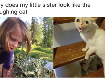 Мем кот кашляет