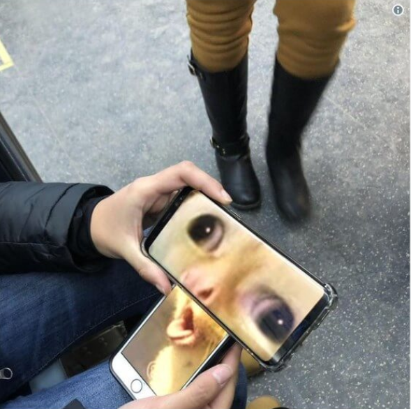 Кашляющий кот