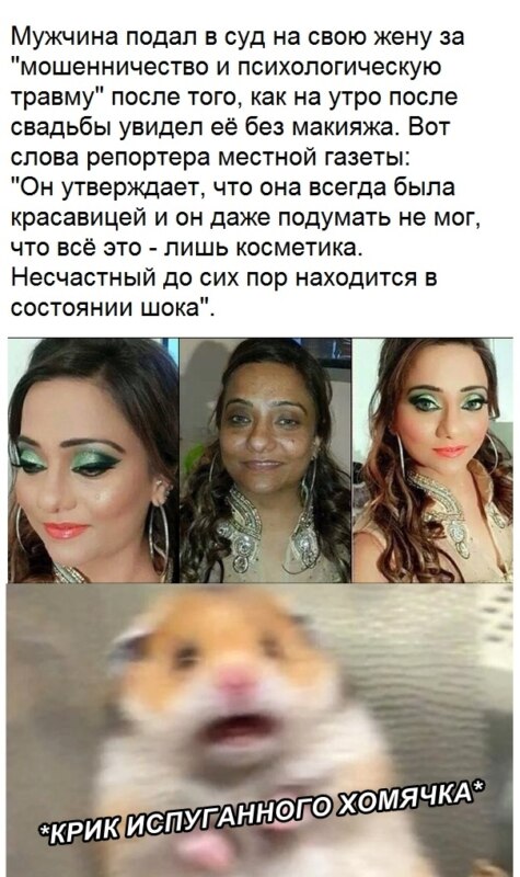 Испуганный хомяк