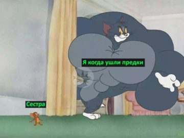 Том-качок