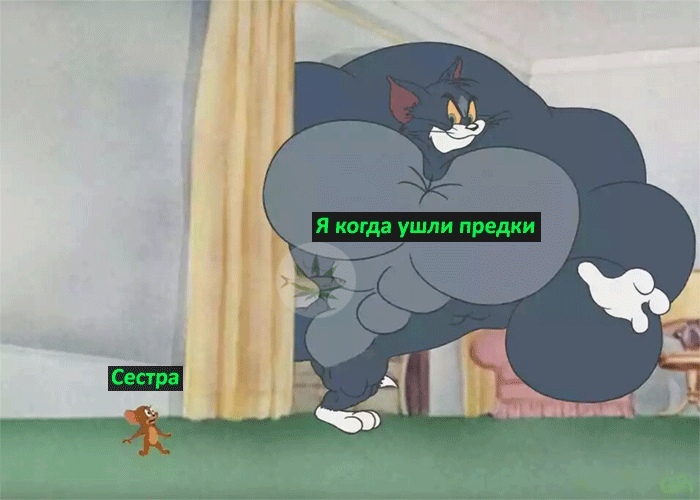 Том-качок
