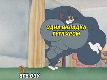 Том-качок