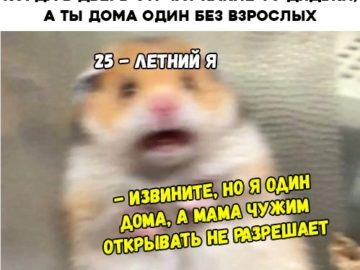 Испуганный хомяк